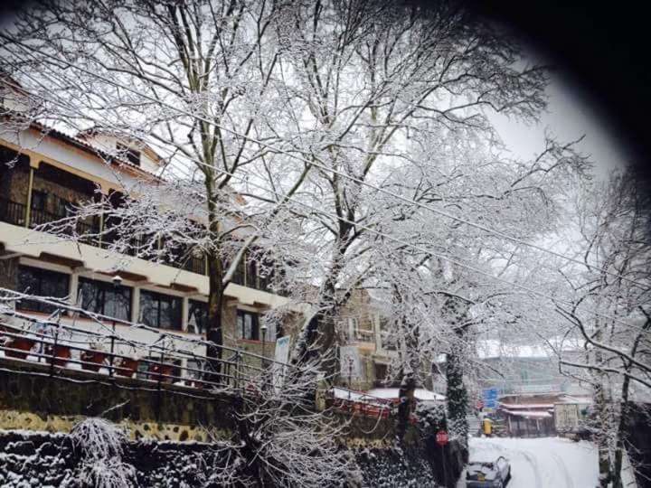 Mountain Rose Hotel & Restaurant Pedulász Kültér fotó